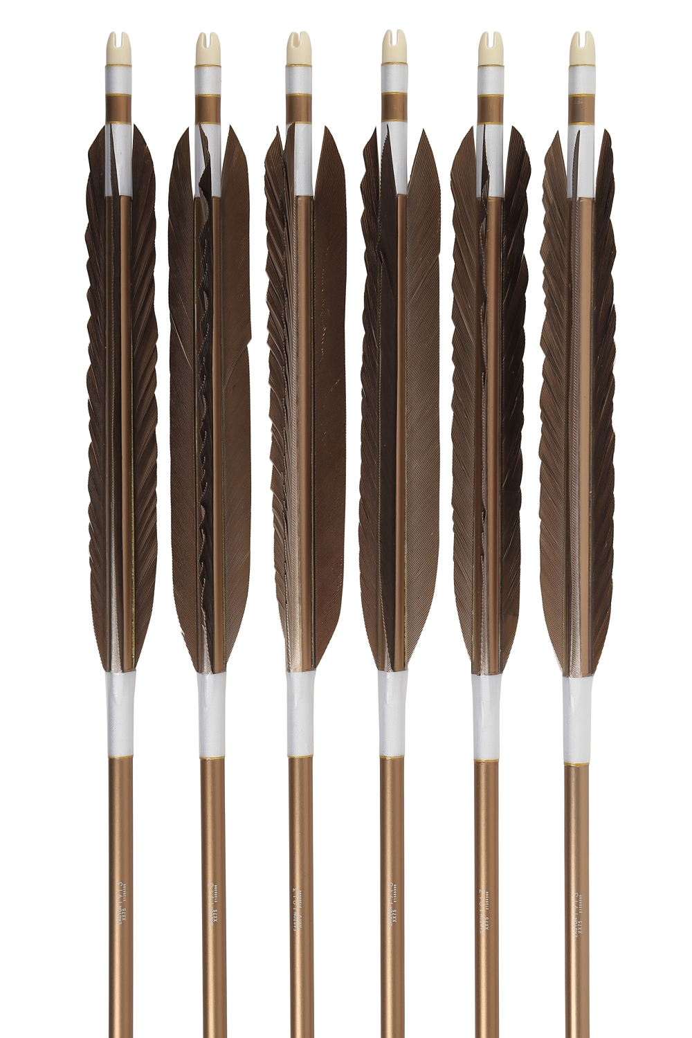 1913シャフト 黒手羽 6種類 6本組 イーストン 黒 茶 シャフト 推奨弓力 10〜13kg 送料無料 【D-1779】 弓道 矢 弓具 近的矢 EASTON 山武弓具店 | ブランド登録なし | 10