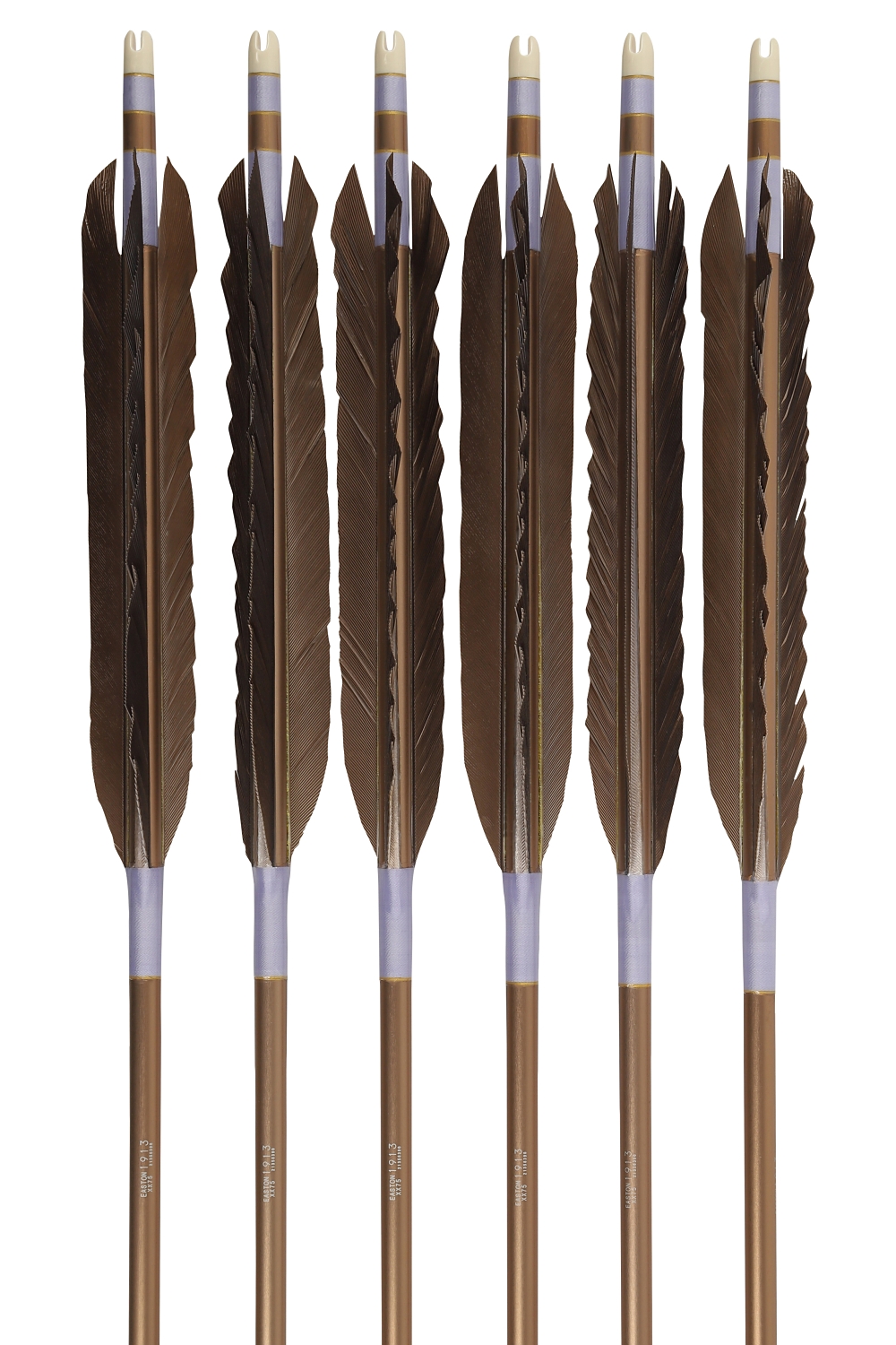 1913シャフト 黒手羽 6種類 6本組 イーストン 黒 茶 シャフト 推奨弓力 10〜13kg 送料無料 【D-1779】 弓道 矢 弓具 近的矢 EASTON 山武弓具店 | ブランド登録なし | 11