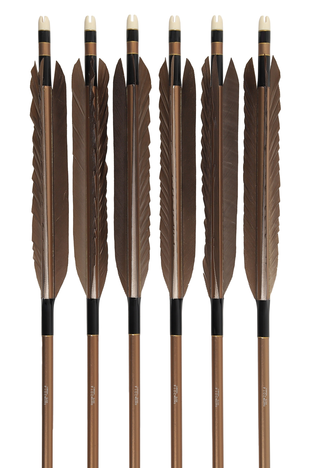 2014シャフト 黒手羽 2種類 6本組 イーストン 黒 茶 シャフト 推奨弓力