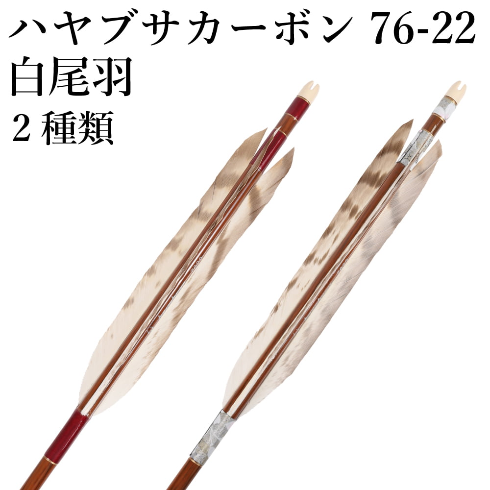 Ayaパパ様用 Amazon | ハヤブサ 鬼掛セミハードバッカン 36cm YC122G