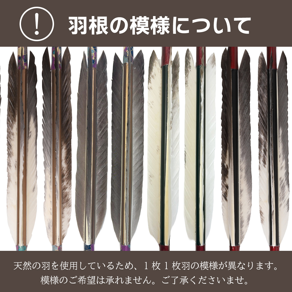 羽根の模様について
