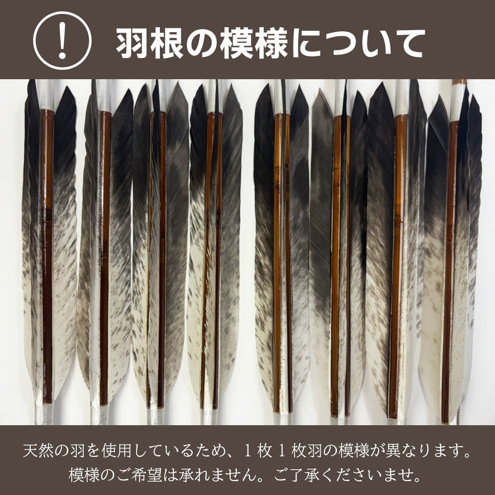 竹矢 フルオーダー製作 犬鷲手羽 上篦 6本組 受注生産品 オーダーメイド 【o-201】 弓道 弓具 矢 | ブランド登録なし | 12