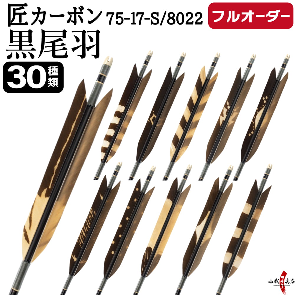 弓道 矢 羽根」の人気商品一覧 | 安い商品を通販サイトから探す - 価格.com