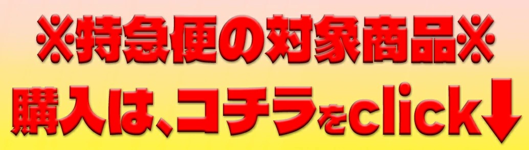名入れ刺繍3か所付 [メール便送料無料] トマック TOMAC カラー