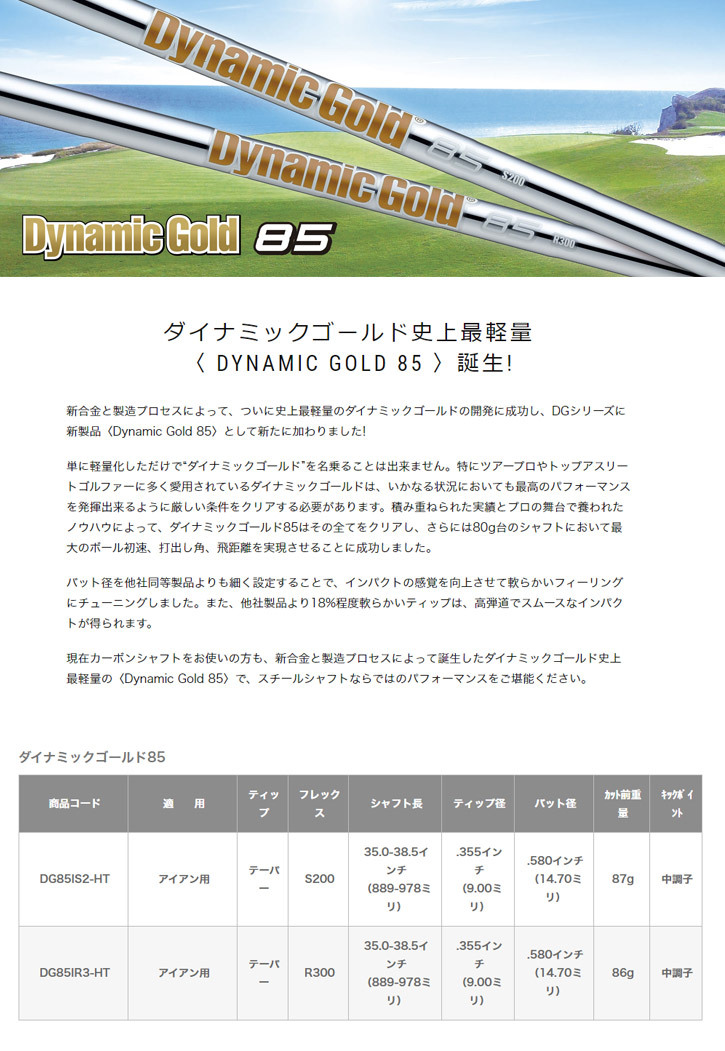 【最終】 Zodia (ゾディア) SV-C101 アイアン 5-Pw　Dynamic Gold 85シャフト 【FKP2660675785】(96012円)