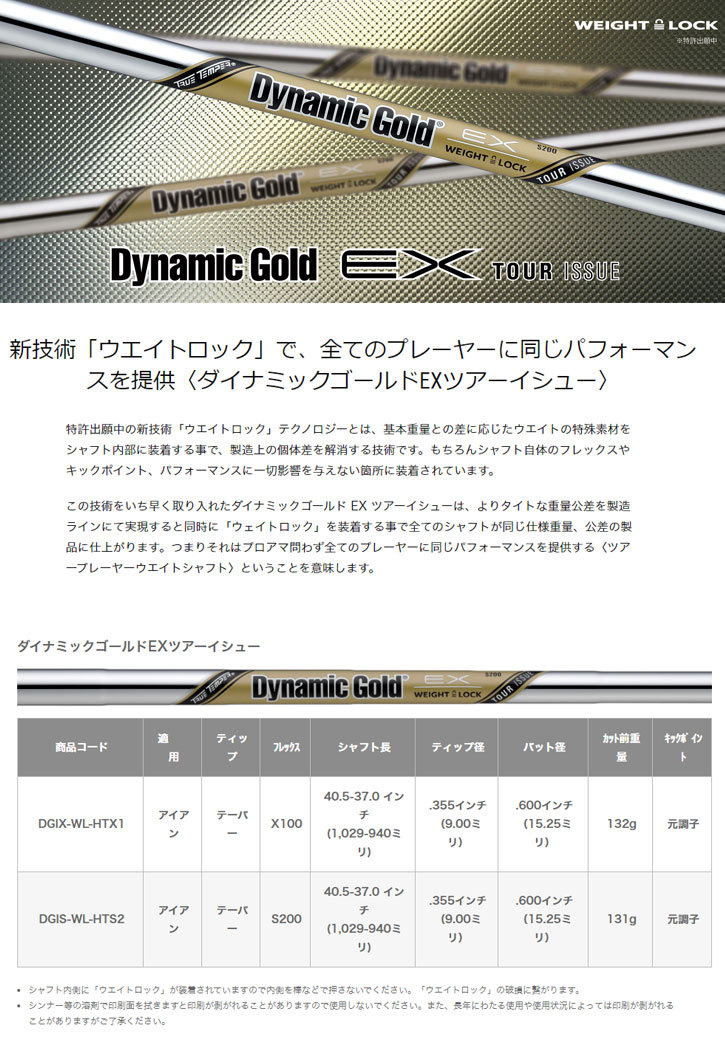 ブランド 藤本技工 FG Believer HIA-X アイアン 5-Pw　Dynamic Gold EX TOUR ISSUEシャフト 【G2665747995】(96195円)