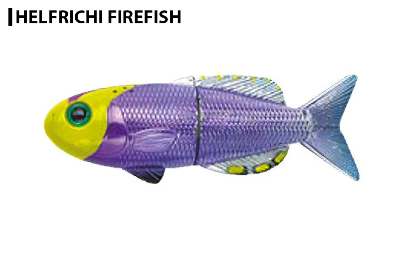 フィッシュマグネット　ドライフーディー This is the ultimate must-have fishing wear for summer