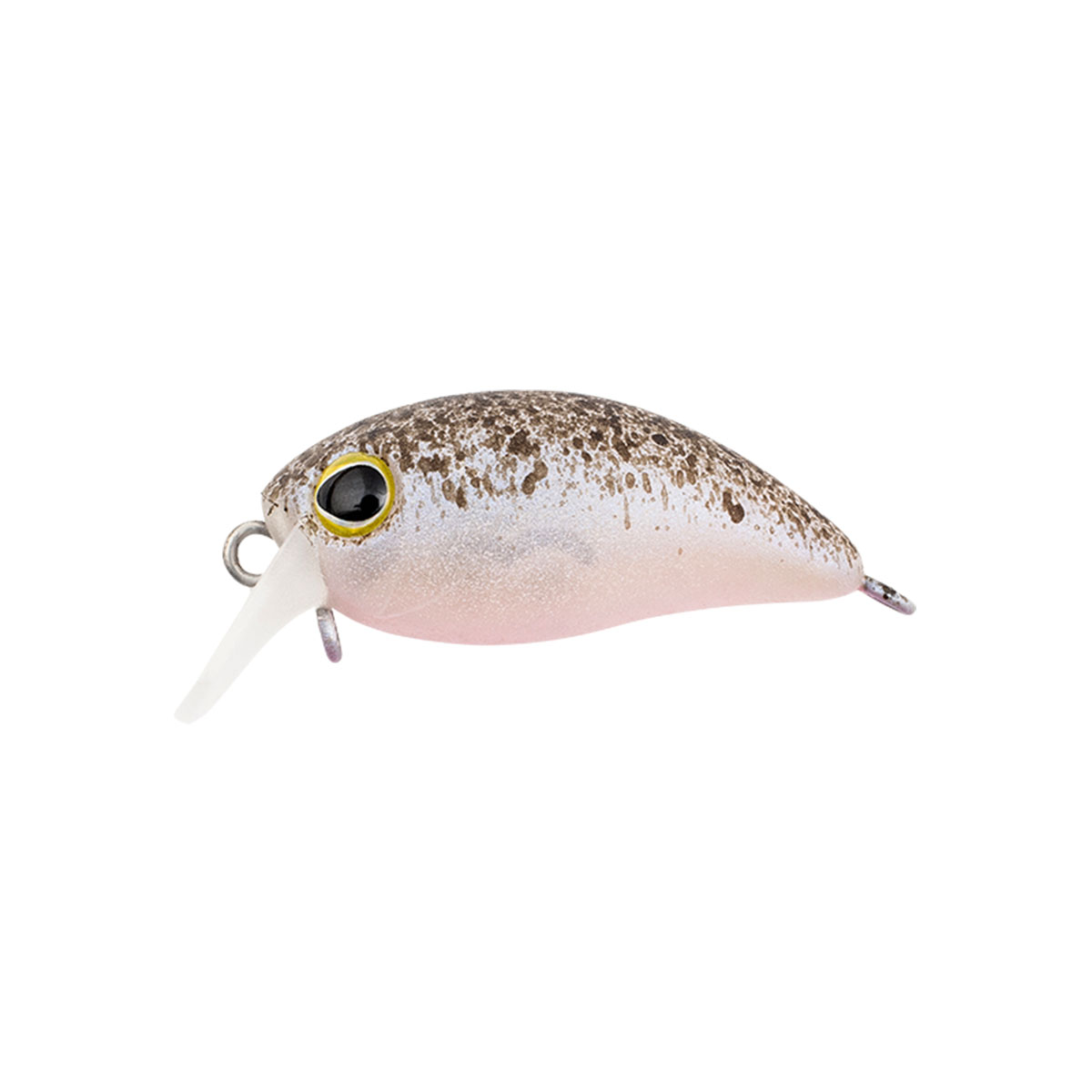 Jackall Timon Chibi Panicra SR SS 25 mm Naufrage Leurre Glow (5796