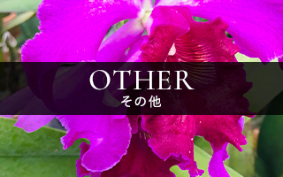 Other（その他）