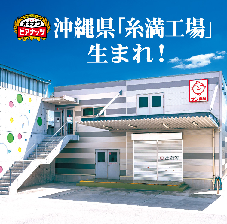 オキナワビアナッツ 16g×10袋入 送料無料