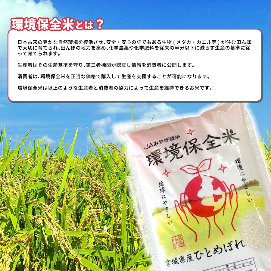 玄米 10kg 令和6年度 宮城県産ひとめぼれ『環境保全米』