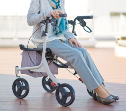 アロン化成 (アロン化成) ショッピングターン 532-325 歩行器