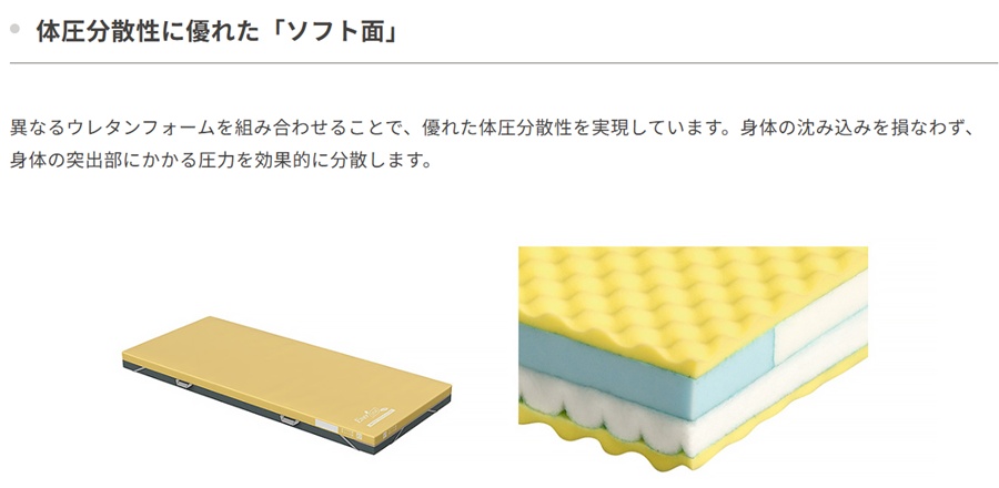 個人様向け限定商品) (パラマウントベッド) エバーリーフシャイン 清拭