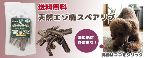 数量限定!北海道産 エゾ鹿の角 小型犬用2〜4本入り 鹿角(シカつの