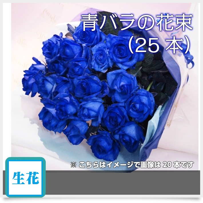 6frk1122.jpg