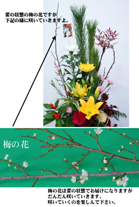 お正月アレンジメント 正月 花 【竹筒】正月飾り 和風 アレンジ 生花