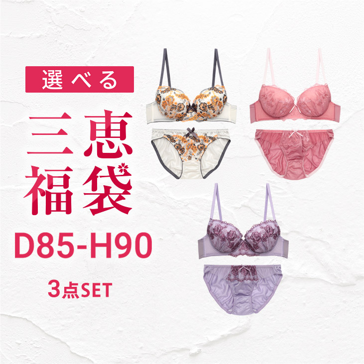 福袋 2025 下着女性 上下セット 福袋 ブラジャー ショーツセット set  レディース 大きい...