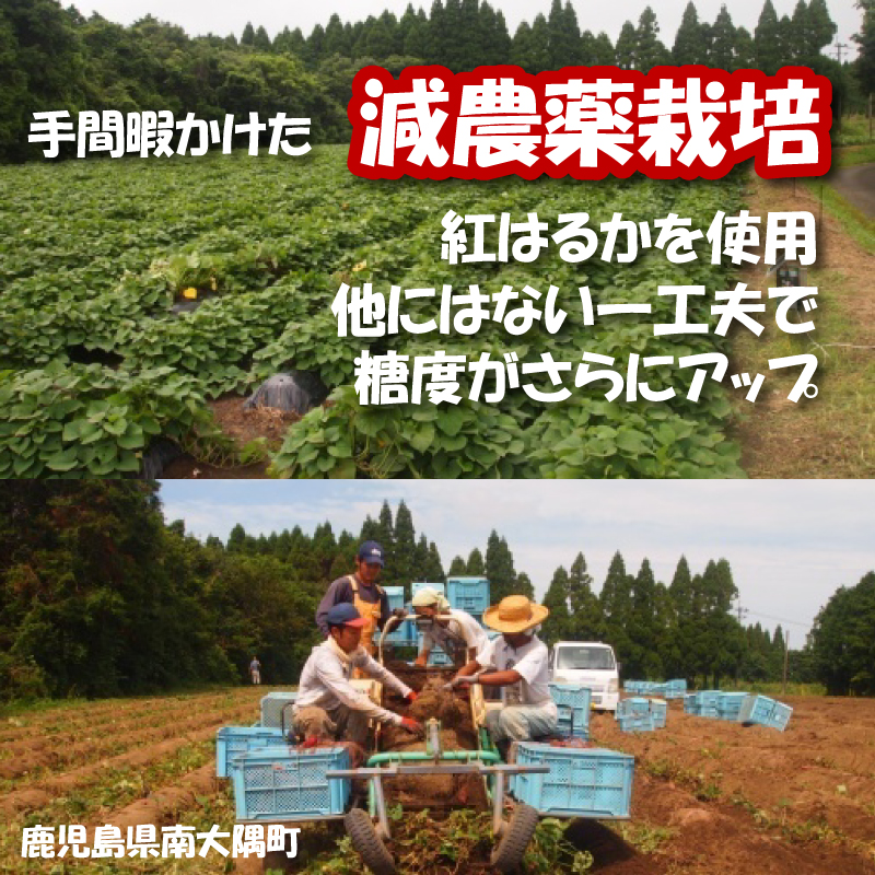 減農薬栽培＆無添加の紅はるかの干し芋