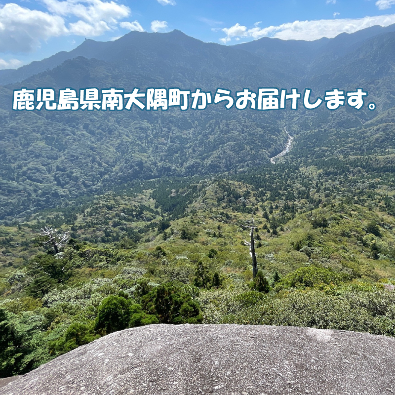 減農薬栽培＆無添加の紅はるかの干し芋