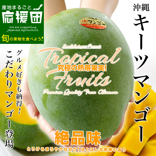 色々マンゴー食べ比べセット①② ファミリーマートのドール 完熟マンゴー - 冷凍食品の冷食.com
