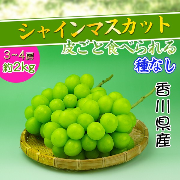 シャインマスカット2kg　A品 特選】シャインマスカット 2kg (3～4房入) | 門野葡萄園 ONLINE SHOP