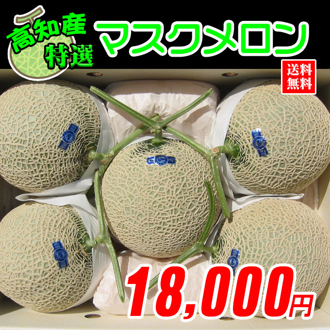 高知県産 マスクメロン1箱 : kudamono-melon-03 : 新鮮市場 産直 