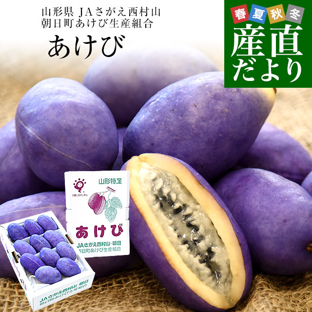 山形県 JAさがえ西村山 朝日町あけび生産組合 あけび 秀品 2LからS