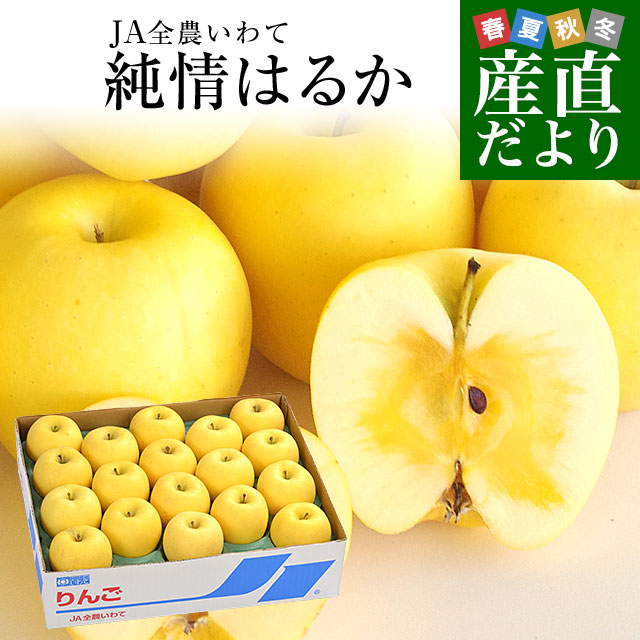 岩手県より産地直送 JA全農いわて いわて純情りんご 純情はるか 5キロ ご家庭用冬恋 (16玉から25玉) 送料無料 林檎 りんご リンゴ