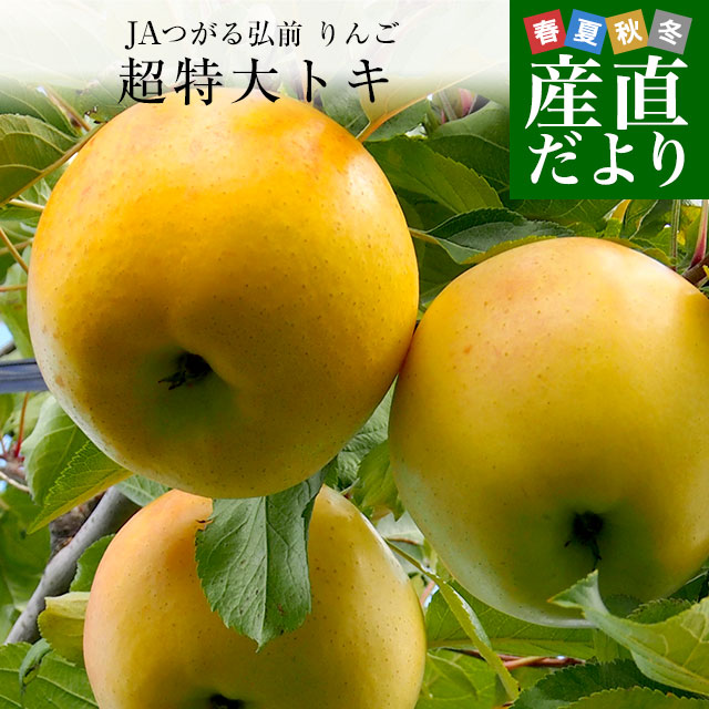 青森県より産地直送 JAつがる弘前 トキ 超大玉 5キロ (9玉から10玉) 送料無料 りんご リンゴ 林檎