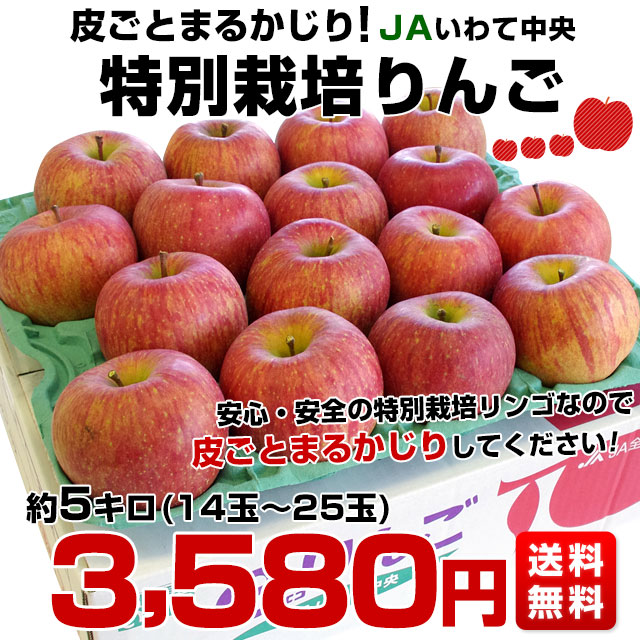 りんご 減農薬の商品一覧 通販 - Yahoo!ショッピング