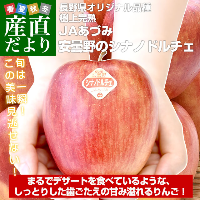 ふるさと納税 長野県 長野県産りんご シナノスイート 9玉(約2.8kg