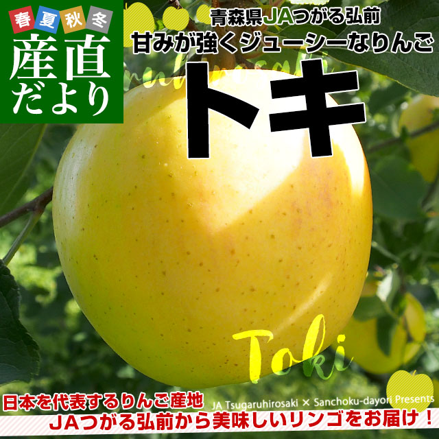 青森県より産地直送 JAつがる弘前 トキ 約3キロ (9玉から13玉) 送料