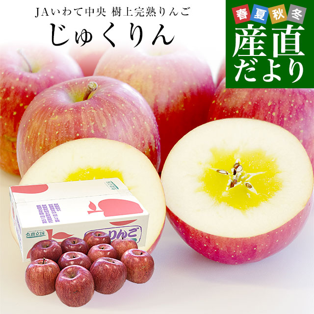 【お歳暮 ギフト】岩手県から産地直送 JAいわて中央 樹上完熟りんご「じゅくりん」等級:〇秀以上 約2.5キロ(8玉から10玉)送料無料 りんご 林檎 リンゴ