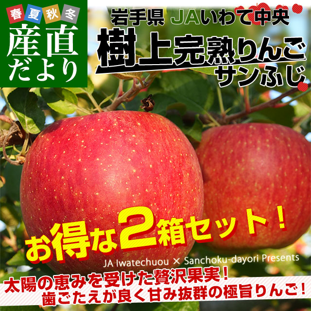 岩手県から産地直送 JAいわて中央 樹上完熟りんご「サンふじ」等級：特