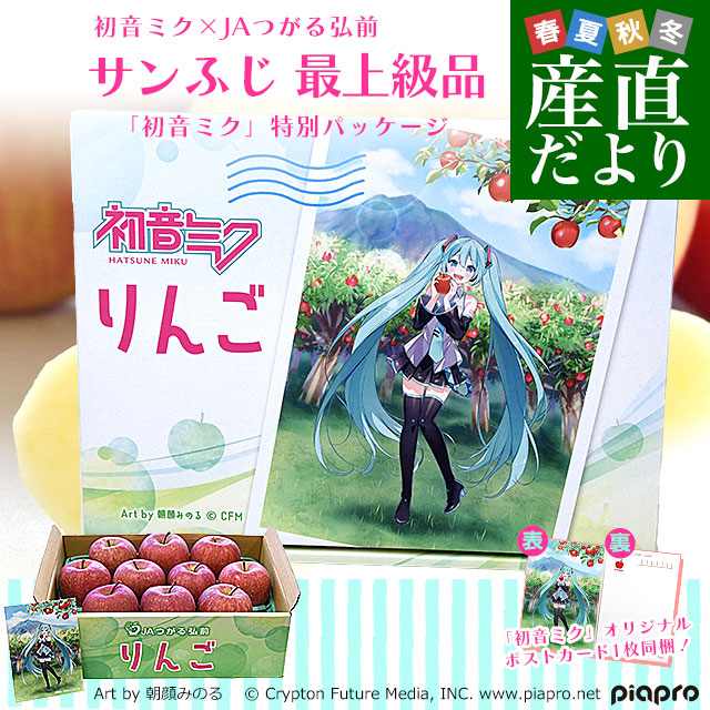 長野県産 JAあづみ 安曇野 ご家庭向け トキ 約3キロ （8玉から12玉