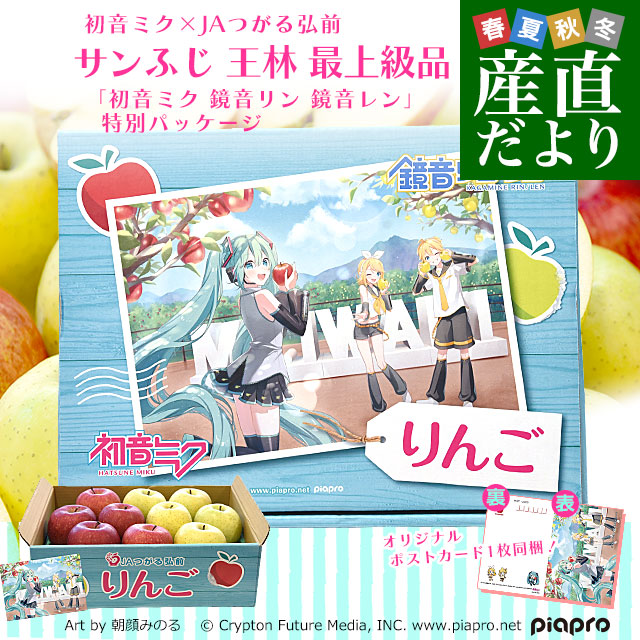 青森県より産地直送 JAつがる弘前 サンふじ 王林 最上級品 初音ミク 鏡