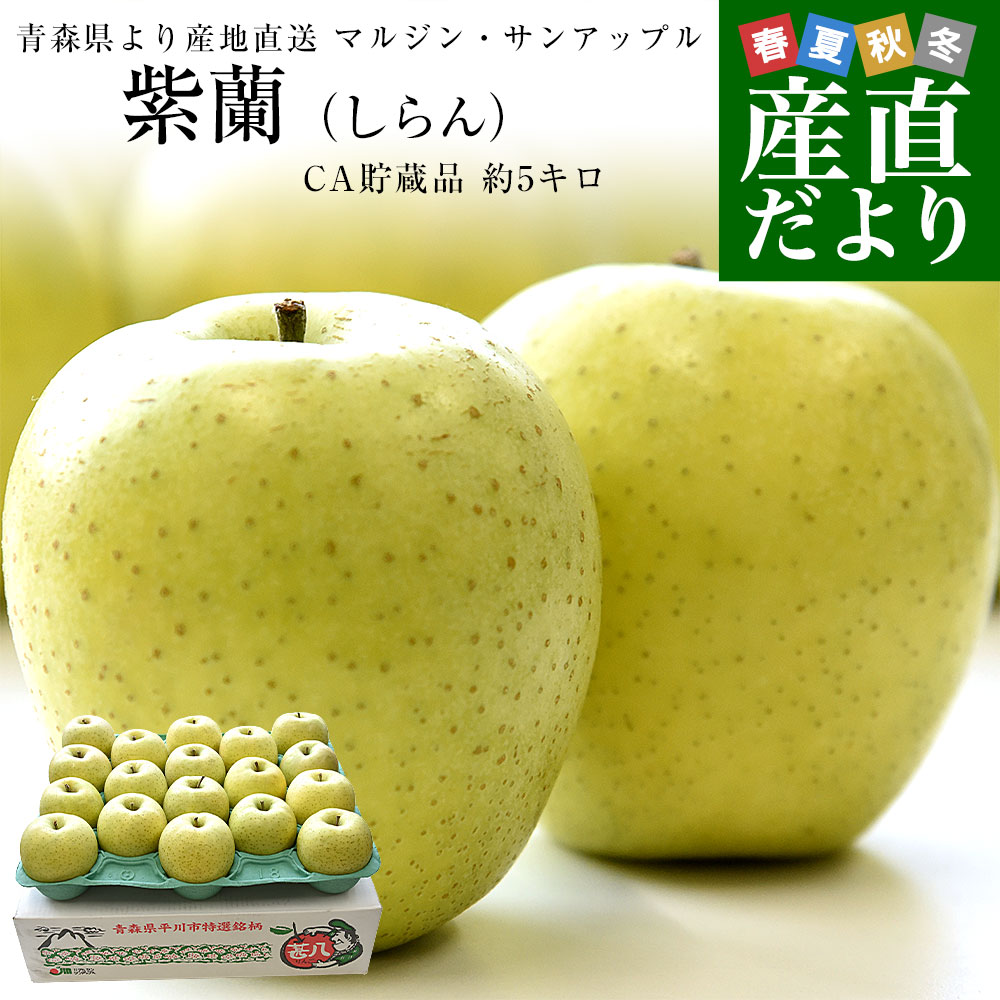 青森県より産地直送 マルジン・サンアップル 糖度14度以上 王林 「紫蘭