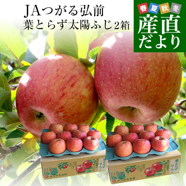 お歳暮 ギフト】 青森県から産地直送 JA津軽みらい 蜜入りりんご「こみ