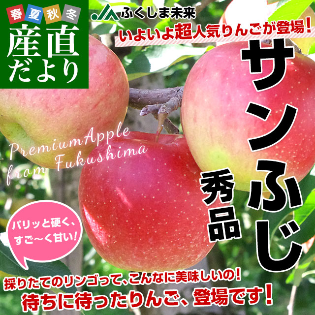 福島県より産地直送 JAふくしま未来「サンふじりんご」秀品 約2.8キロ(8玉から10玉) 送料無料 林檎 リンゴ |  | 01