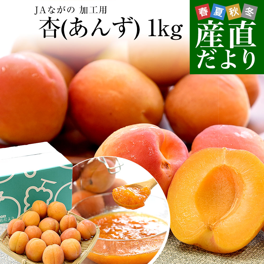 長野県産 JAながの 加工用「杏（あんず）」（品種：信州大実・平和 