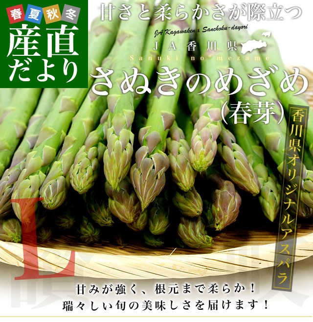 香川県より産地直送 JA香川県アスパラ さぬき...の詳細画像1