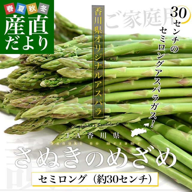 訳あり（アスパラガス）の商品一覧｜野菜 | 食品 通販 - Yahoo