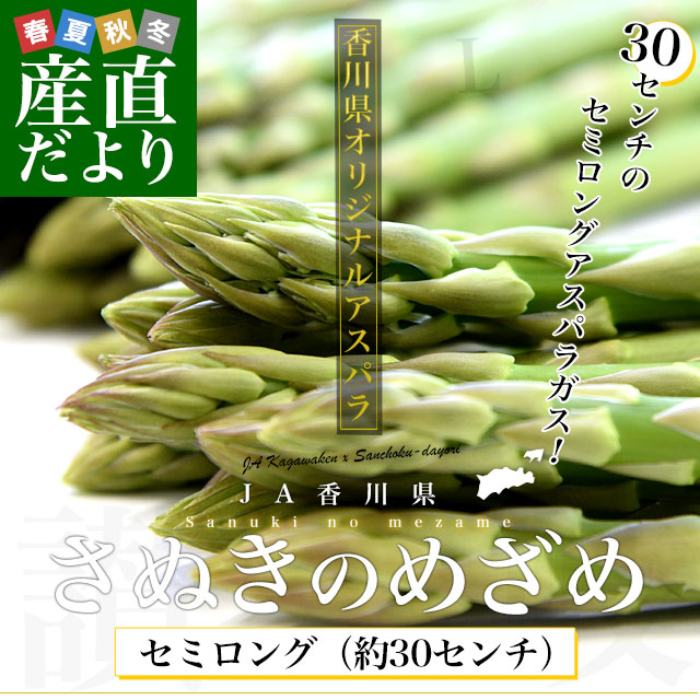 香川県より産地直送 JA香川県アスパラ さぬき...の詳細画像1