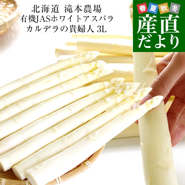 予約】北海道産 アスパラガス ホワイトアスパラ 1.2kg (共撰/L