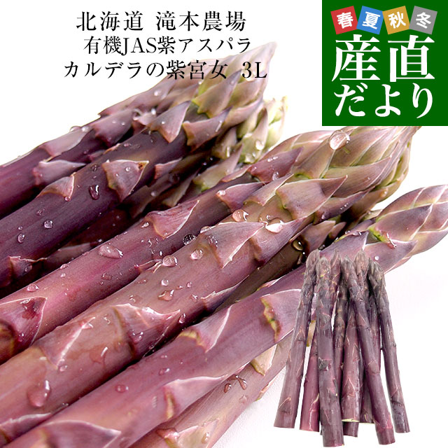 北海道より産地直送 赤井川村滝本農場の有機JAS　紫アスパラ「 カルデラの紫宮女」 3Lサイズ　約500g入り 送料無料 アスパラガス ※クール便発送 | 