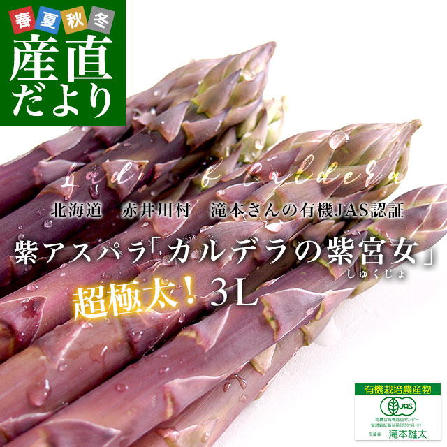 北海道より産地直送 赤井川村滝本農場の有機JAS　紫アスパラ「 カルデラの紫宮女」 3Lサイズ　約500g入り 送料無料 アスパラガス ※クール便発送 |  | 01