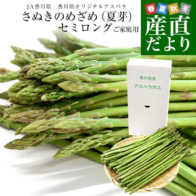 アスパラガス　さぬきのめざめ　MIX　2kg Ｌ以上 楽天市場】グリーンアスパラガス「さぬきのめざめ」極太サイズ