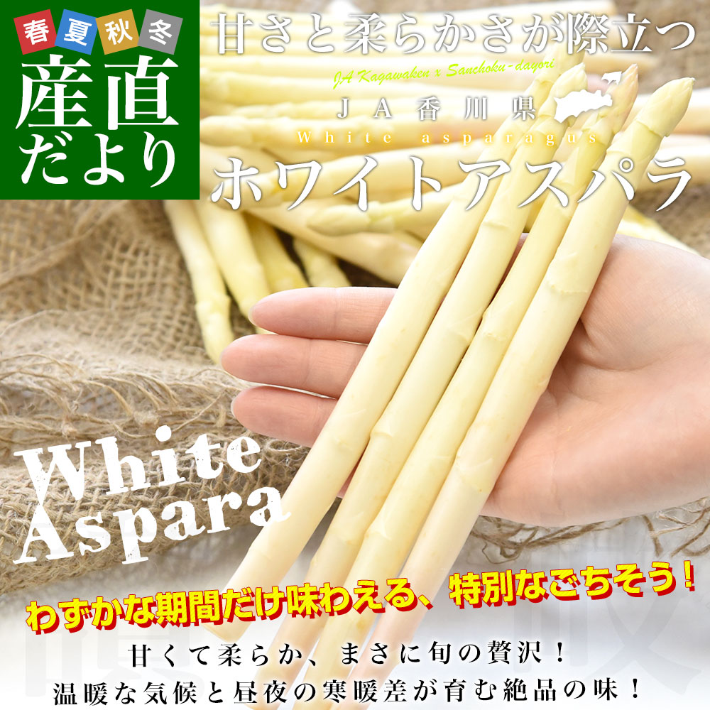 香川県より産地直送 JA香川県 ホワイトアスパラ 2LからMサイズ 約700g