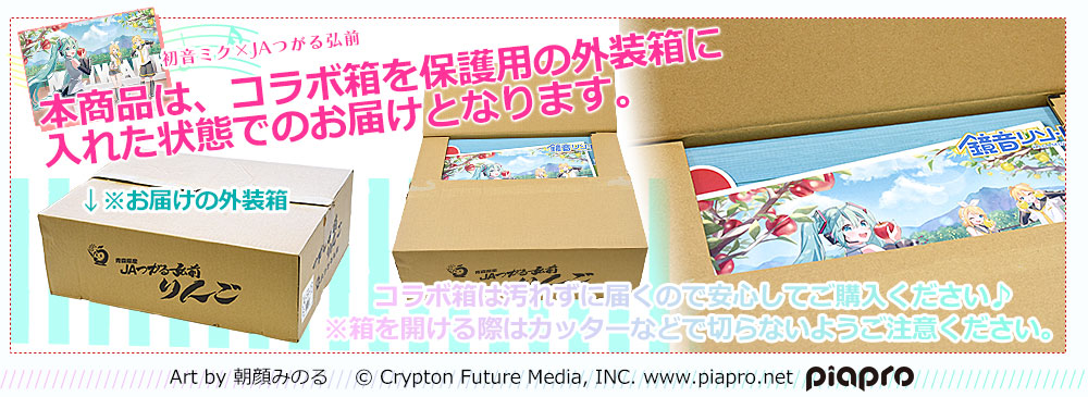 青森県より産地直送 JAつがる弘前 サンふじ 王林 最上級品 初音ミク 鏡