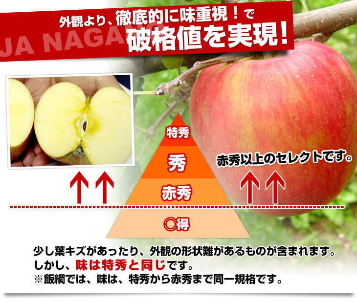 市場 りんご 送料無料 5kg 長野県飯綱町産 つがる いいづなファーム 予約販売 9月上旬発送 3980円以上送料無料 長野県飯綱町